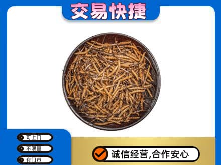文水县高价回收散虫草